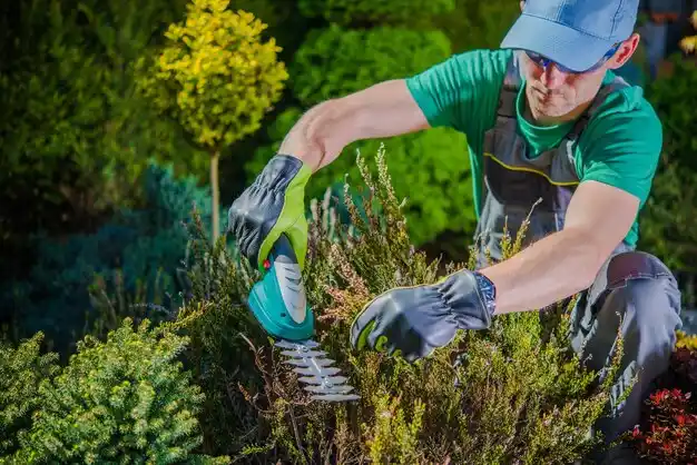 landscaping services Dublin